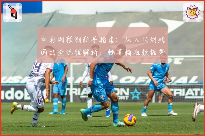 中彩网预测新手指南：从入门到精通的全流程解析，畅享精准数据带来的便捷体验