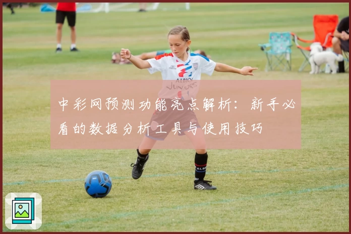 中彩网预测功能亮点解析：新手必看的数据分析工具与使用技巧