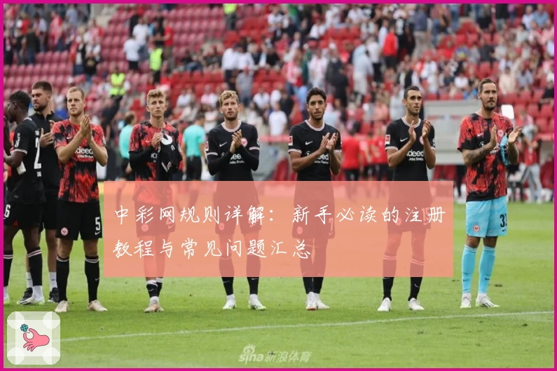 中彩网规则详解：新手必读的注册教程与常见问题汇总