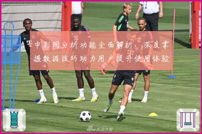 中彩网分析功能全面解析，深度掌握数据技巧助力用户提升使用体验