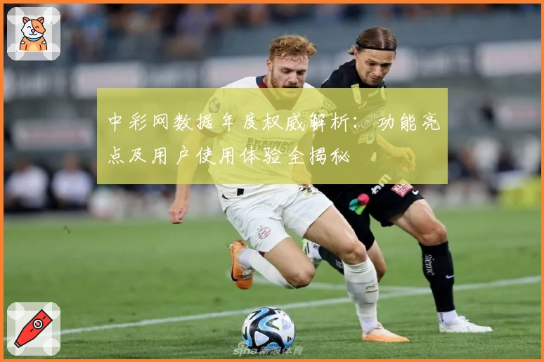 中彩网数据年度权威解析：功能亮点及用户使用体验全揭秘