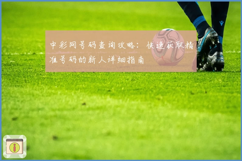 中彩网号码查询攻略：快速获取精准号码的新人详细指南