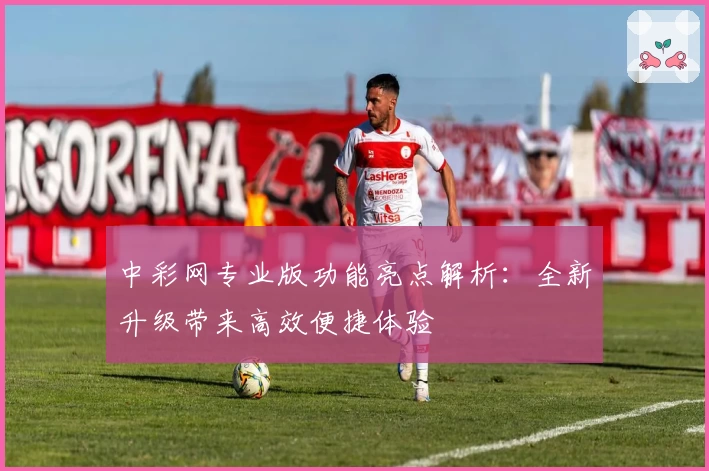 中彩网专业版功能亮点解析：全新升级带来高效便捷体验