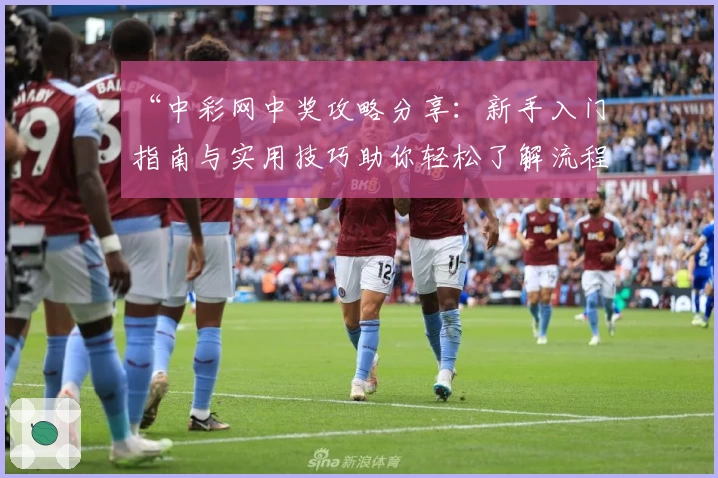 “中彩网中奖攻略分享：新手入门指南与实用技巧助你轻松了解流程”