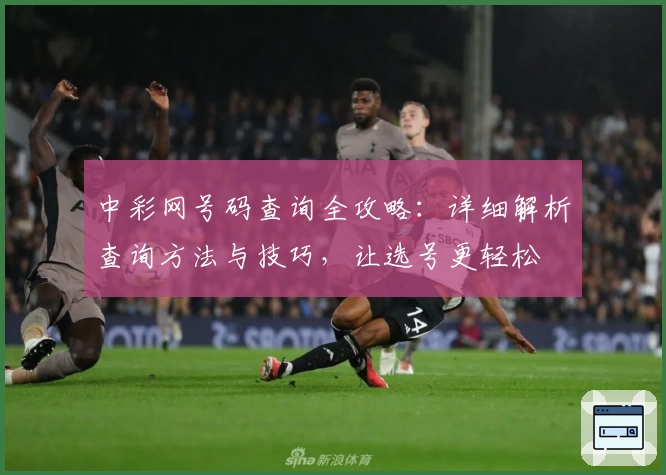 中彩网号码查询全攻略：详细解析查询方法与技巧，让选号更轻松