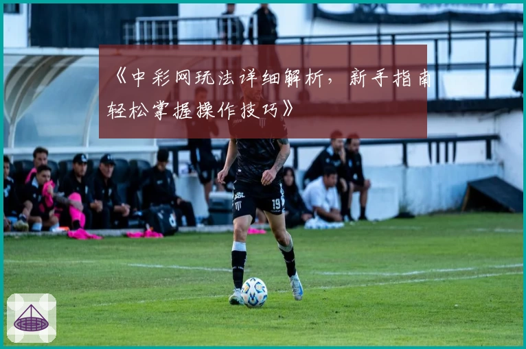 《中彩网玩法详细解析，新手指南轻松掌握操作技巧》