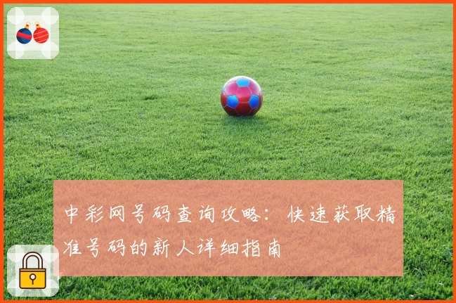 中彩网号码查询攻略：快速获取精准号码的新人详细指南