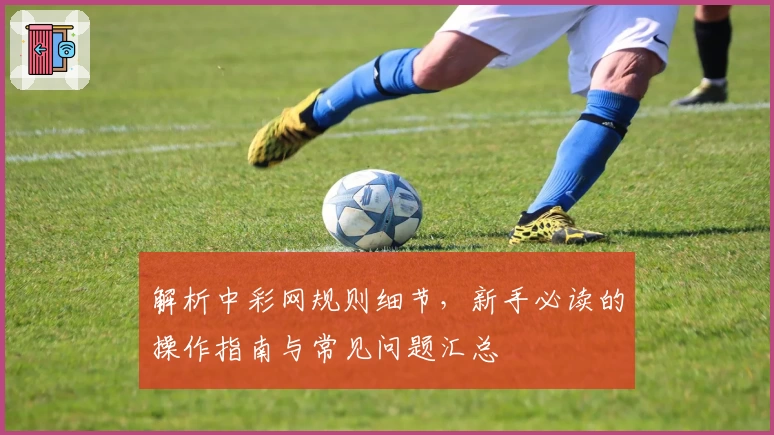 解析中彩网规则细节，新手必读的操作指南与常见问题汇总
