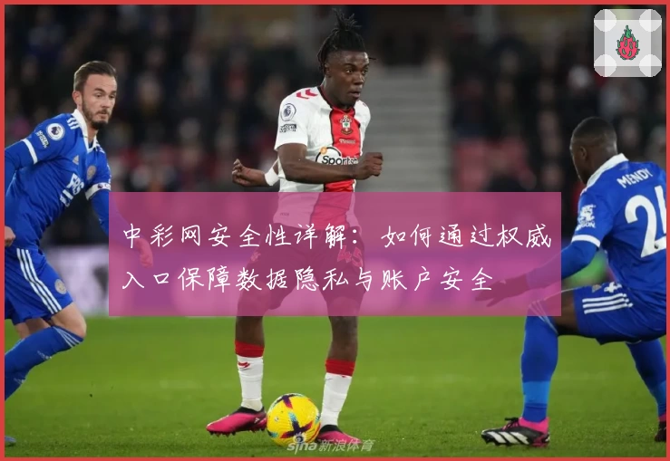 中彩网安全性详解：如何通过权威入口保障数据隐私与账户安全