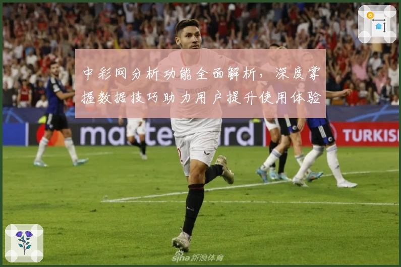 中彩网分析功能全面解析，深度掌握数据技巧助力用户提升使用体验